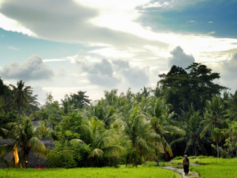 Bali is know for their beautiful and stunning views.
