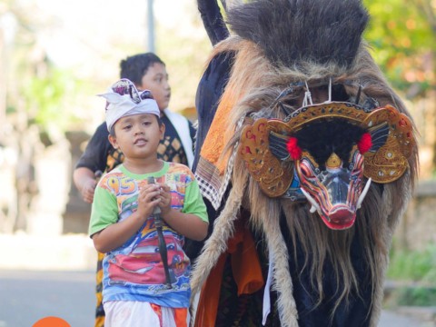 Once or twice a year you will see the children of Bali walking around the streets with the Barong.